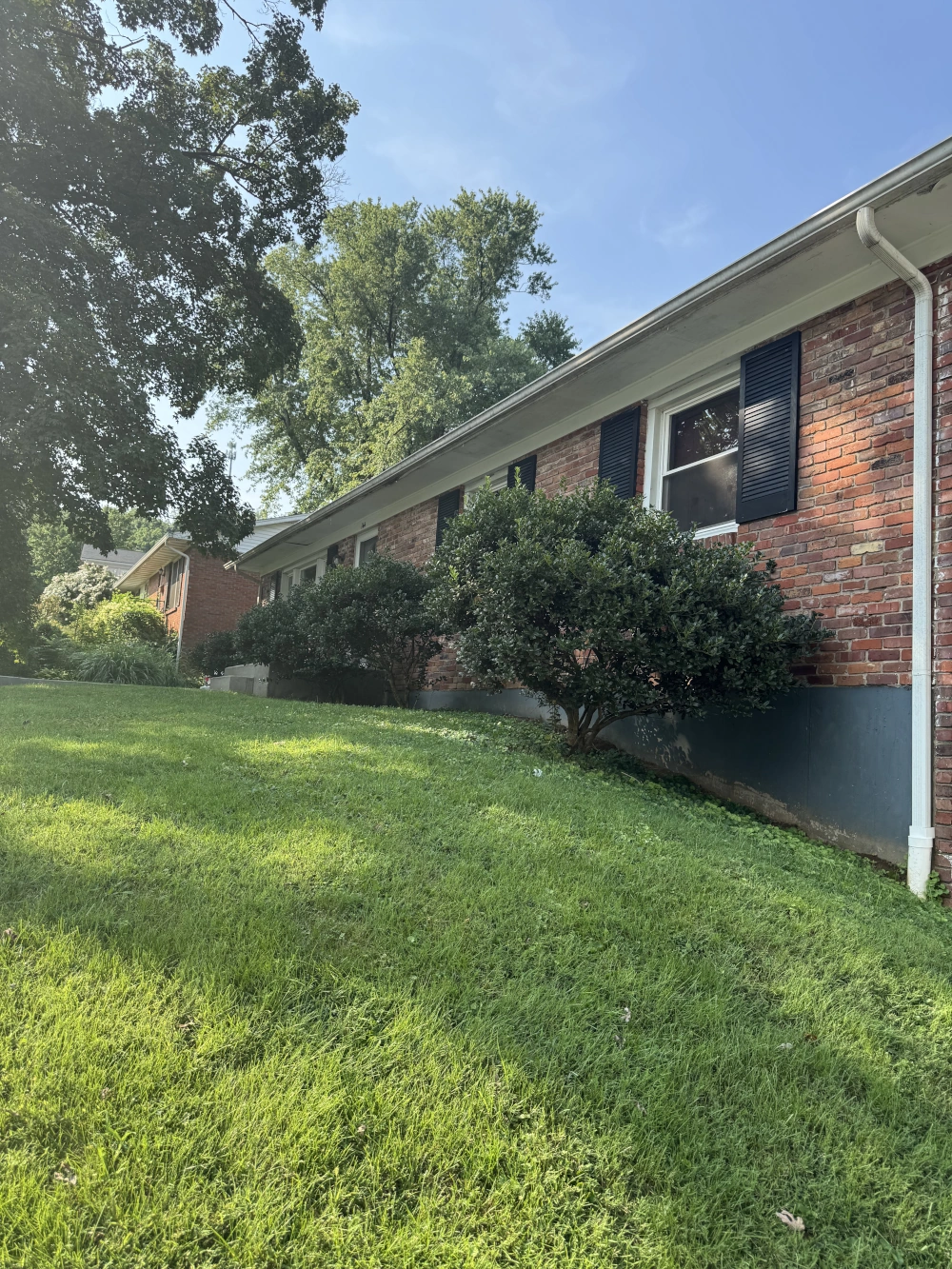 Dynamic Restoration LLC