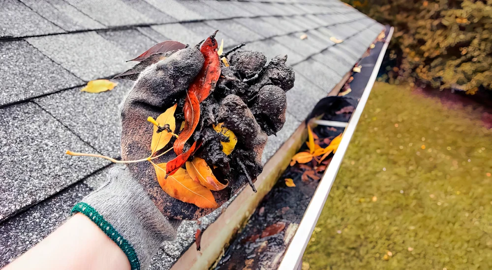 Imagen de Gutter Cleaning