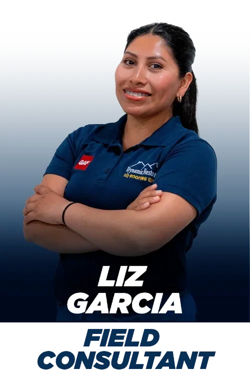 Dynamic Restoration LLC