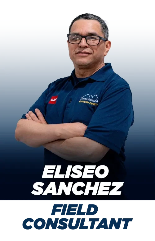 Dynamic Restoration LLC