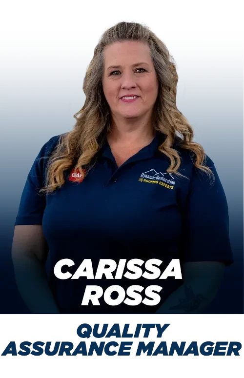 Dynamic Restoration LLC